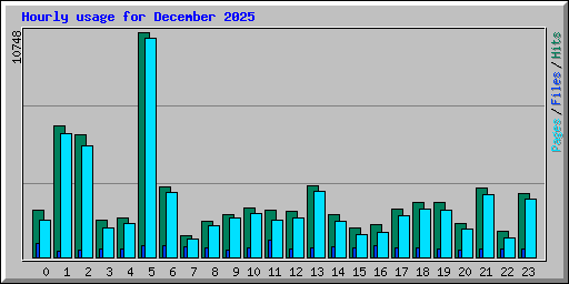 Hourly usage for December 2025