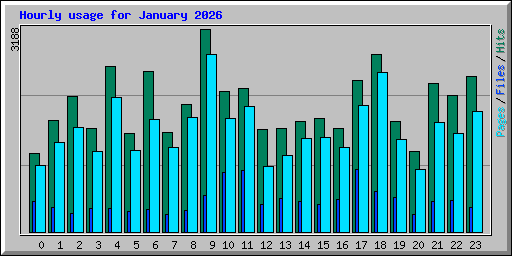 Hourly usage for January 2026