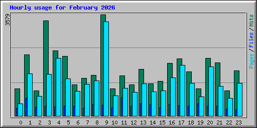 Hourly usage for February 2026