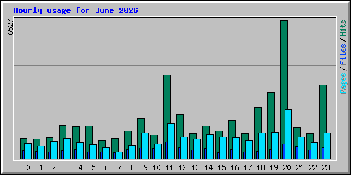 Hourly usage for June 2026