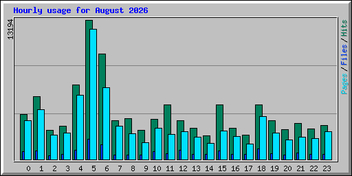 Hourly usage for August 2026